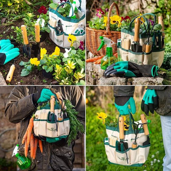 Nature's Toolkit