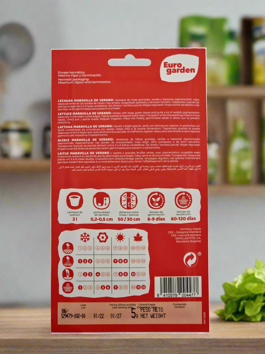 Lettuce Seeds by Euro Garden.