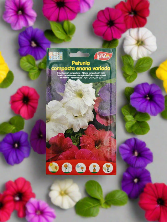 Petunia Dwarf Compact Mix by Euro Garden