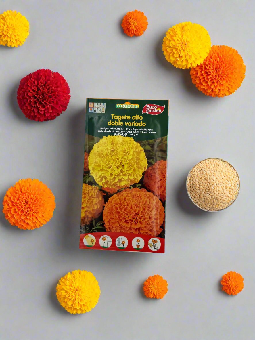 Marigold Tall Double Mix Seeds by Euro Garden

