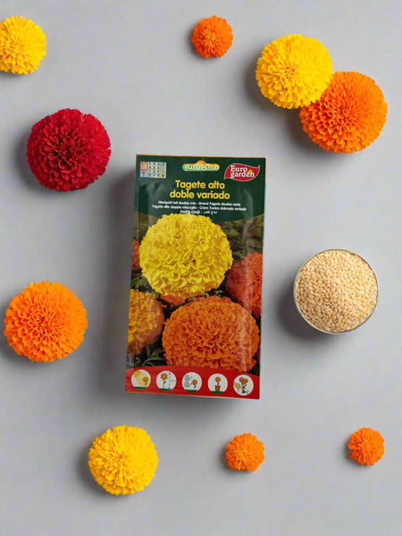 Marigold Tall Double Mix Seeds by Euro Garden