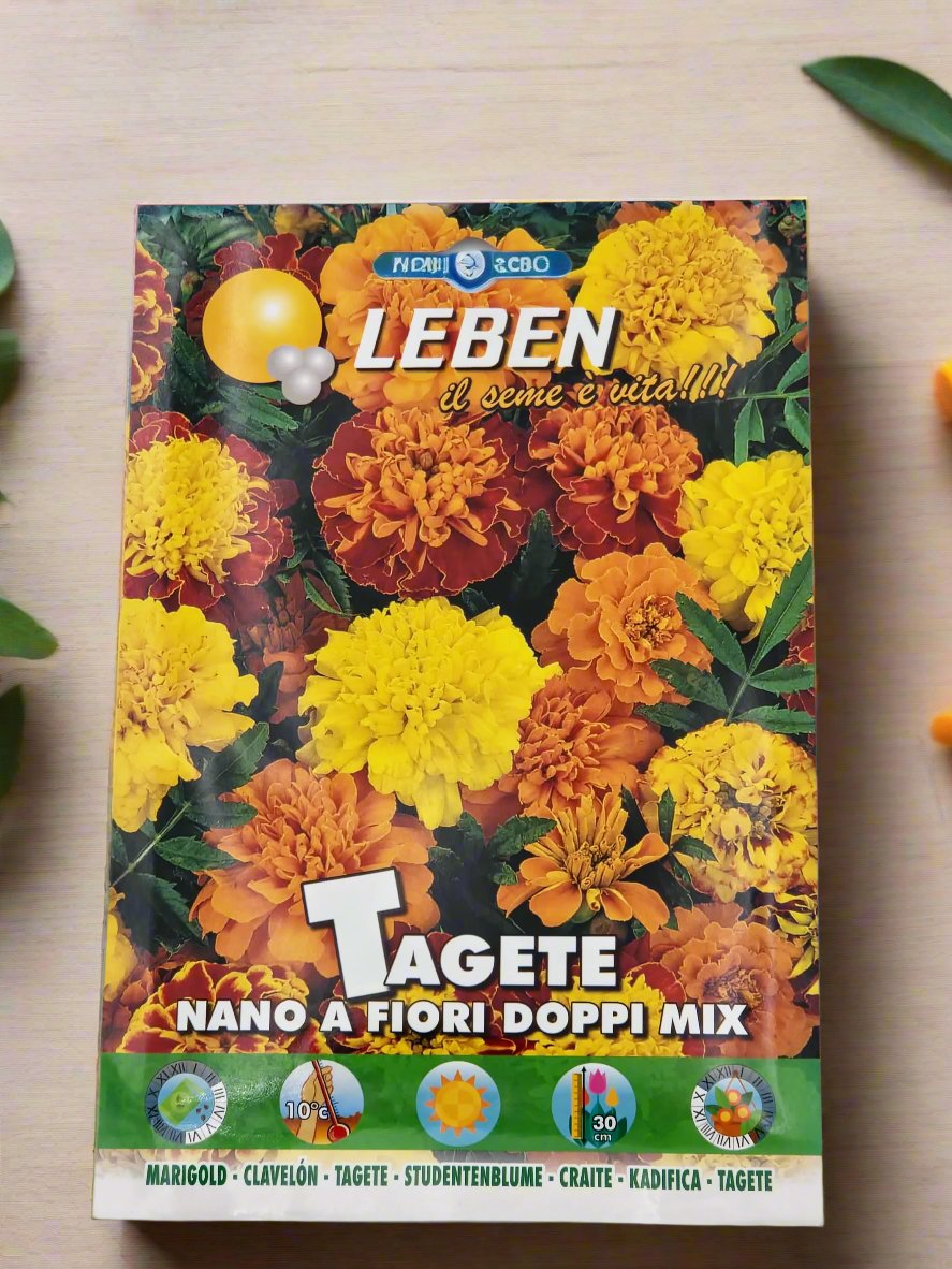 Marigold Seeds by LEBEN

