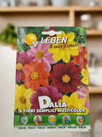 DALIA seeds by LEBEN
