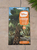 Palm Washingtonia Seeds by Euro Garden
