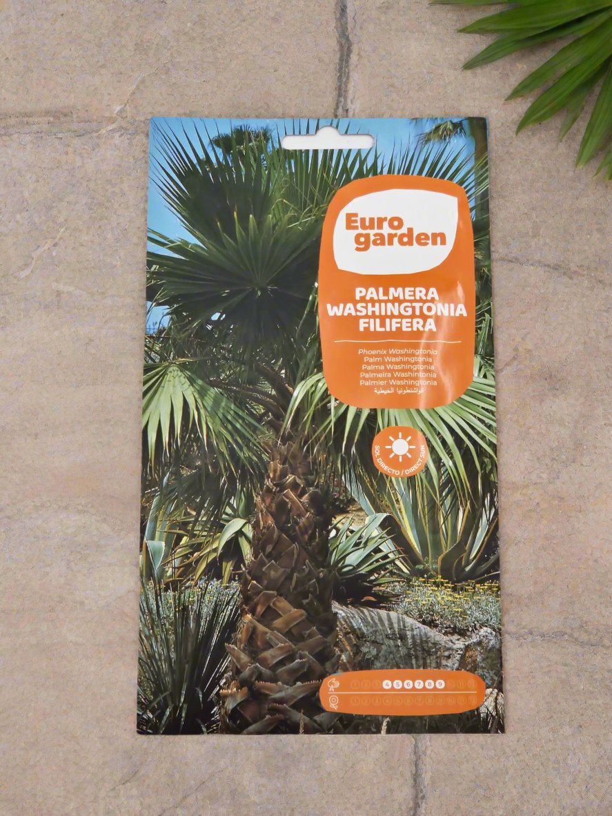 Palm Washingtonia Seeds by Euro Garden