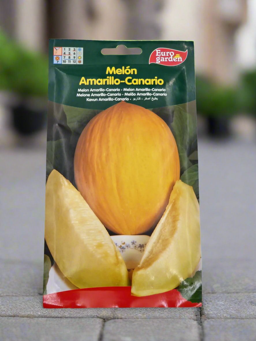 Melon Amarillo-Canario seeds by Euro garden
