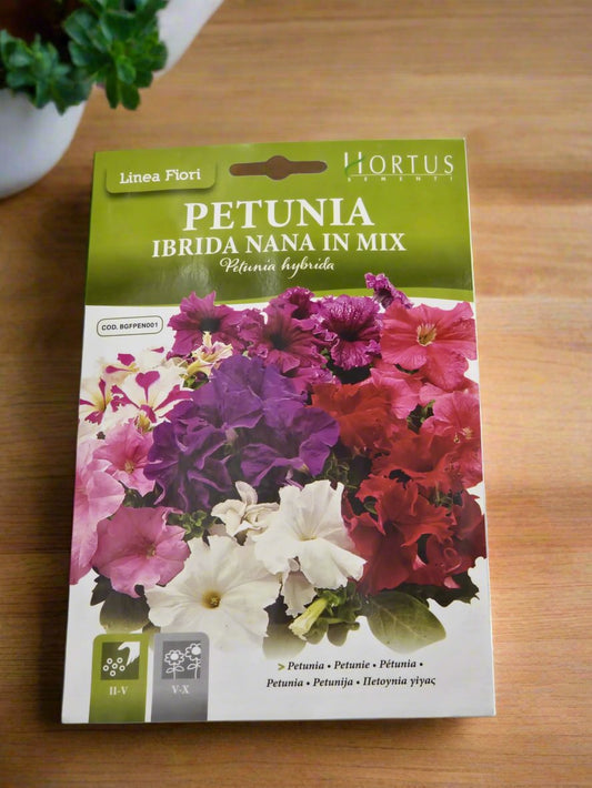 PETUNIA
IBRIDA NANA IN MIX seeds by Hortus