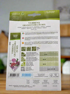Vervain Mix seeds by Hortus