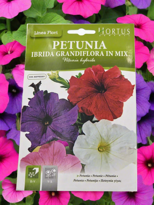 Petunia In Mix seedsd by Hortus