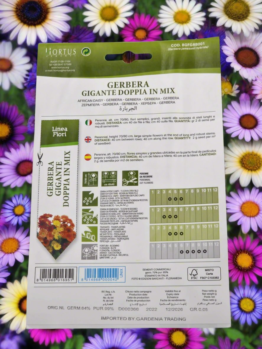 African daisy Mix seeds by Hortus