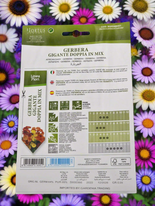 African daisy Mix seeds by Hortus