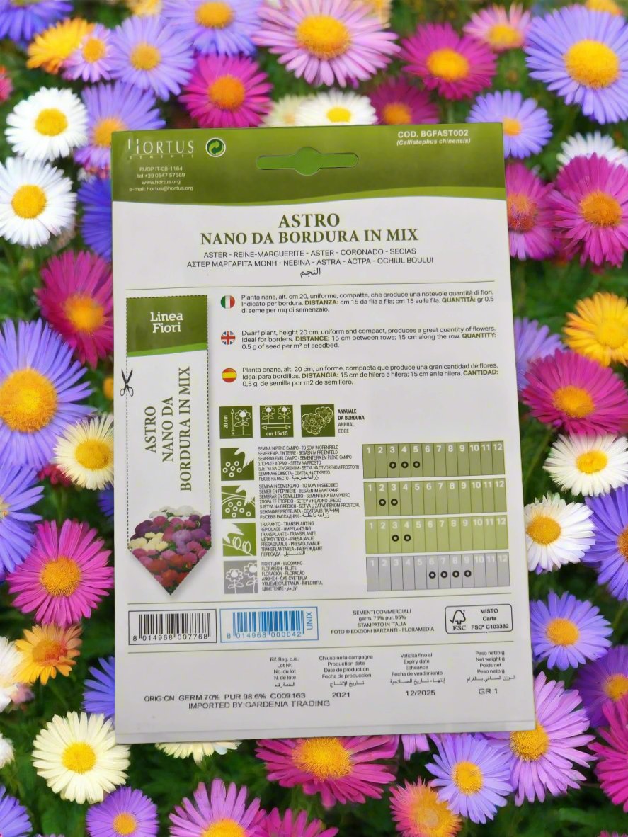 Aster Mix 'Astro Nano Da Bordura In Mix' – Premium Quality Flower Seeds by Hortus Sementi in Deevan’s Nobel House Decor and gardening  seeds with services 