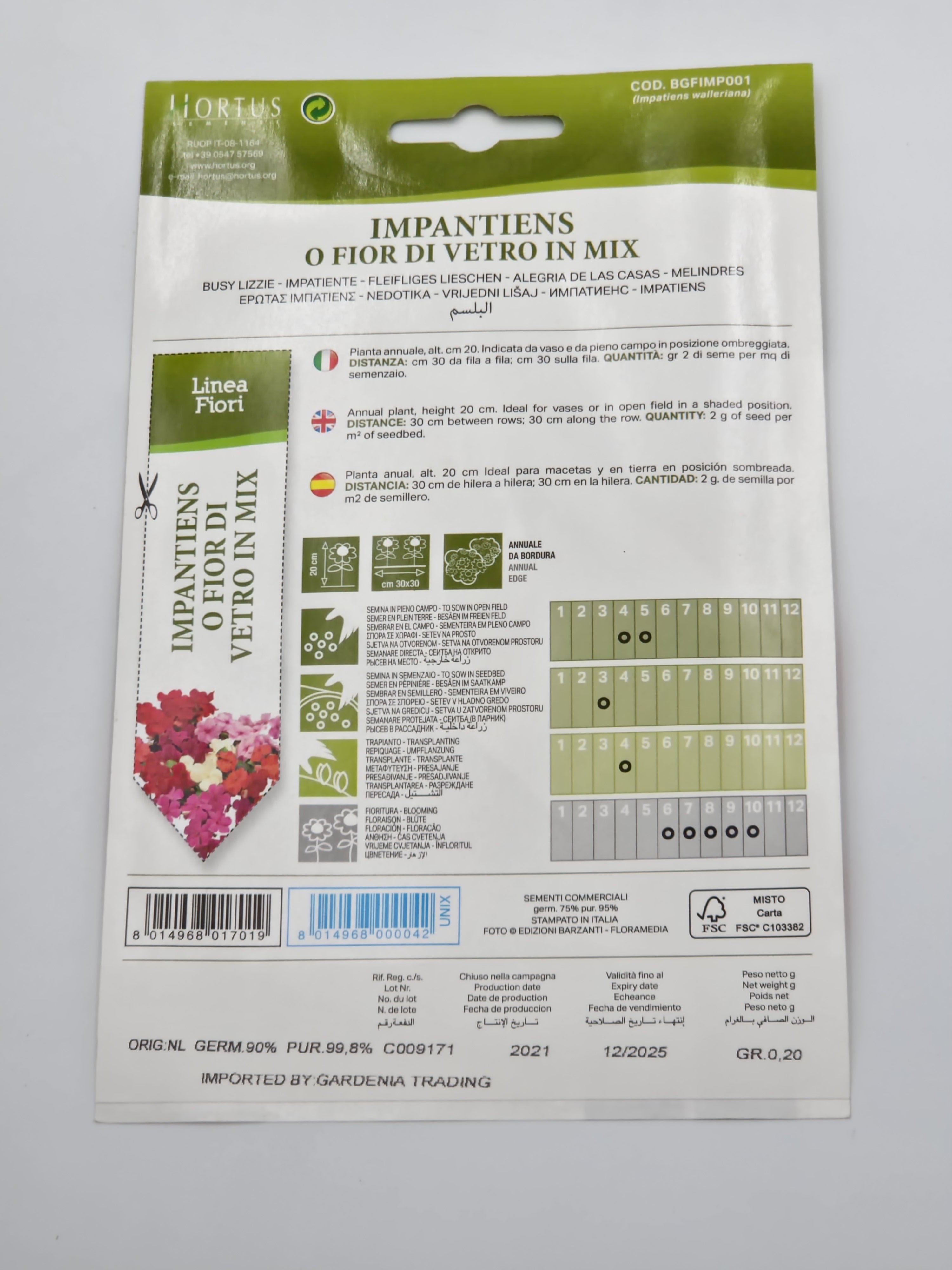 Busy Lizzie Mix Balsam Garden Seeds - Hortus Impatiens Walleriana in Vibrant Colors