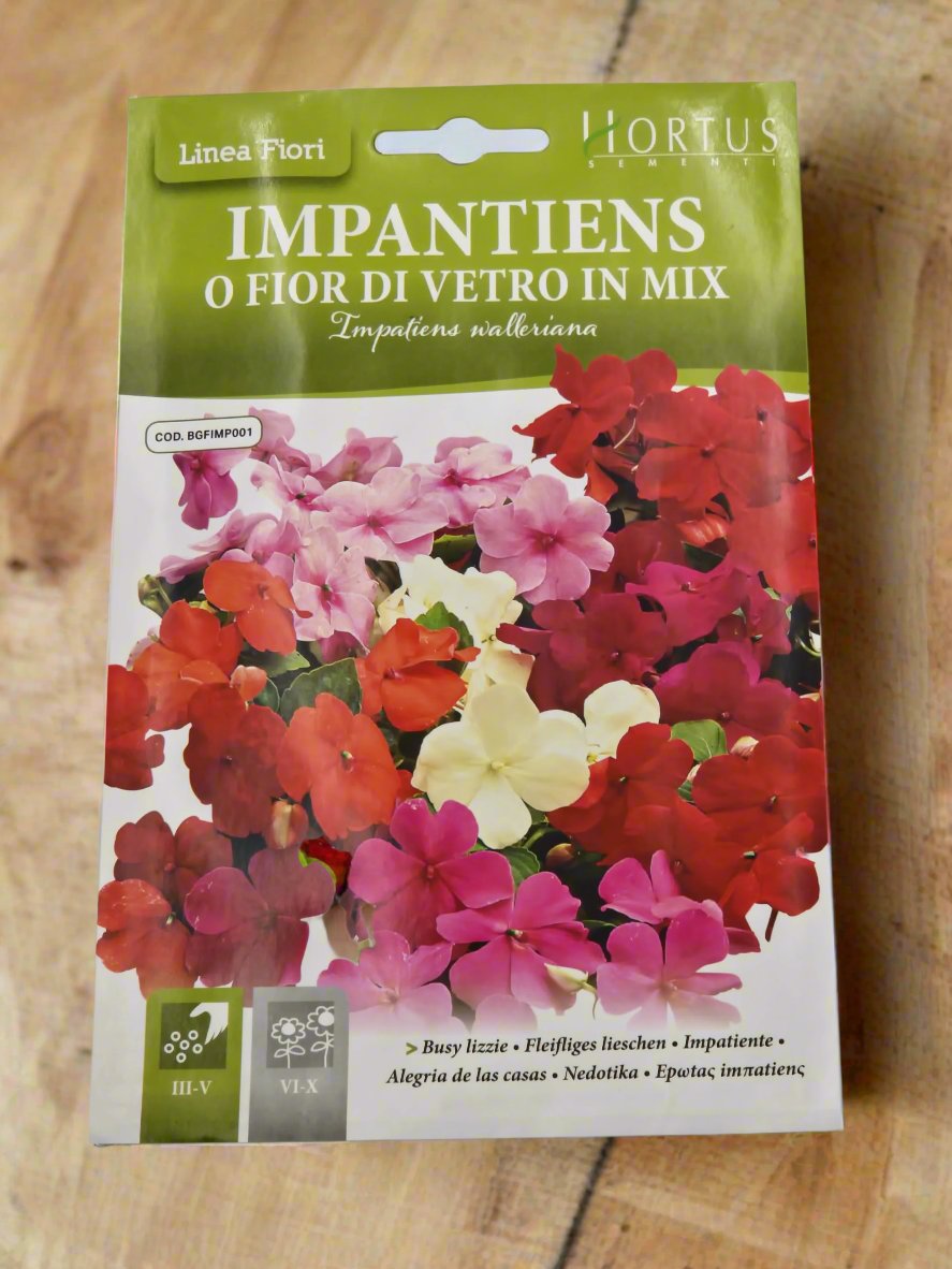 Busy Lizzie Mix Balsam Garden Seeds - Hortus Impatiens Walleriana in Vibrant Colors at Deevan’s Nobel House Decor and Gardening Seeds with Services


