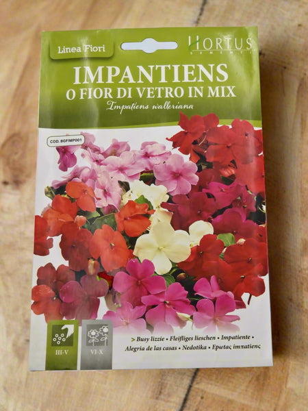 Busy Lizzie Mix Balsam Garden Seeds - Hortus Impatiens Walleriana in Vibrant Colors