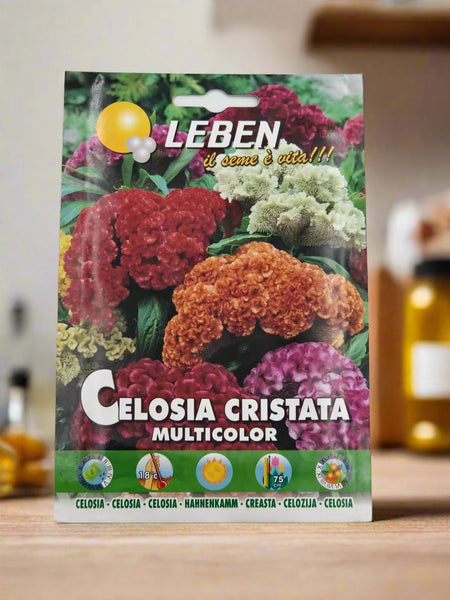Celosia & Dianthus Caryophyllus Mix Seeds by LEBEN – Vibrant Garden Blooms.