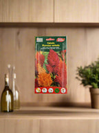 Celosia Seed Mix – Flower Seeds by Euro Garden at Deevan’s Nobel House Decor and Gardening Seeds with Services
