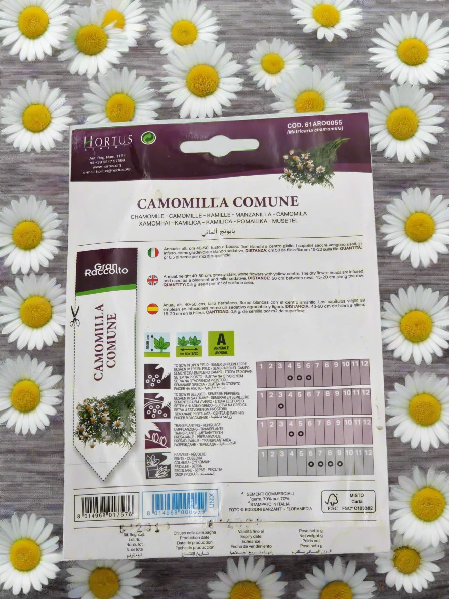Chamomile Herb Seeds by Hortus Sementi – Premium Quality