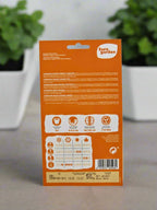 Cineraria Hybrid Dwarf Flower Seeds by Euro Garden
