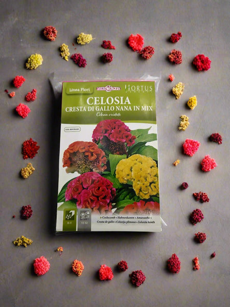 Cockscomb Seeds - Celosia Cristata Mix by Hortus