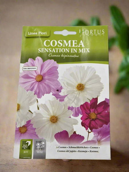 Cosmos Mix  (Cosmea Sensation In Mix) Seeds by Hortus.