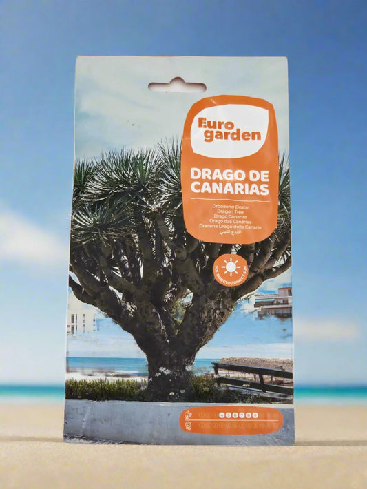 Dragon Tree seeds by Euro garden