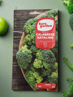 Easy-to-Grow Belstar Broccoli Seeds - European Garden Quality from Euro Garden.  at Deevan’s Nobel House Decor and Gardening Seeds with Services