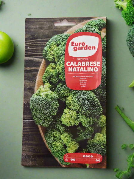 Easy-to-Grow Belstar Broccoli Seeds - European Garden Quality from Euro Garden.