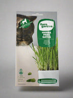 Erba Per Gatti Seeds Cat Grass  by Euro Garden