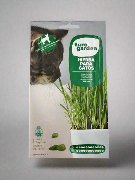 Erba Per Gatti Seeds Cat Grass  by Euro Garden