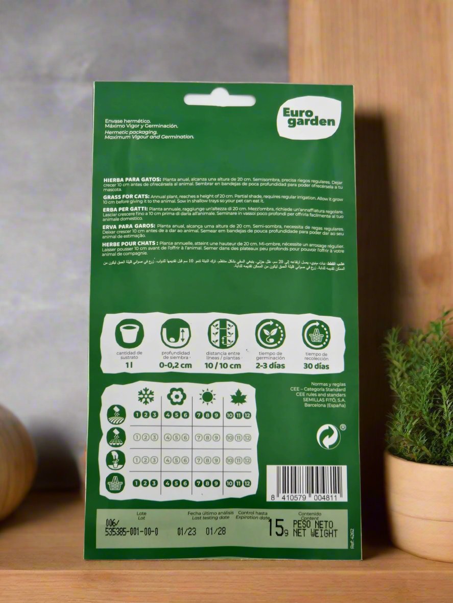 Erba Per Gatti Seeds Cat Grass  by Euro Garden at  Deevan’s Nobel House Decor and Gardening Seeds with Services