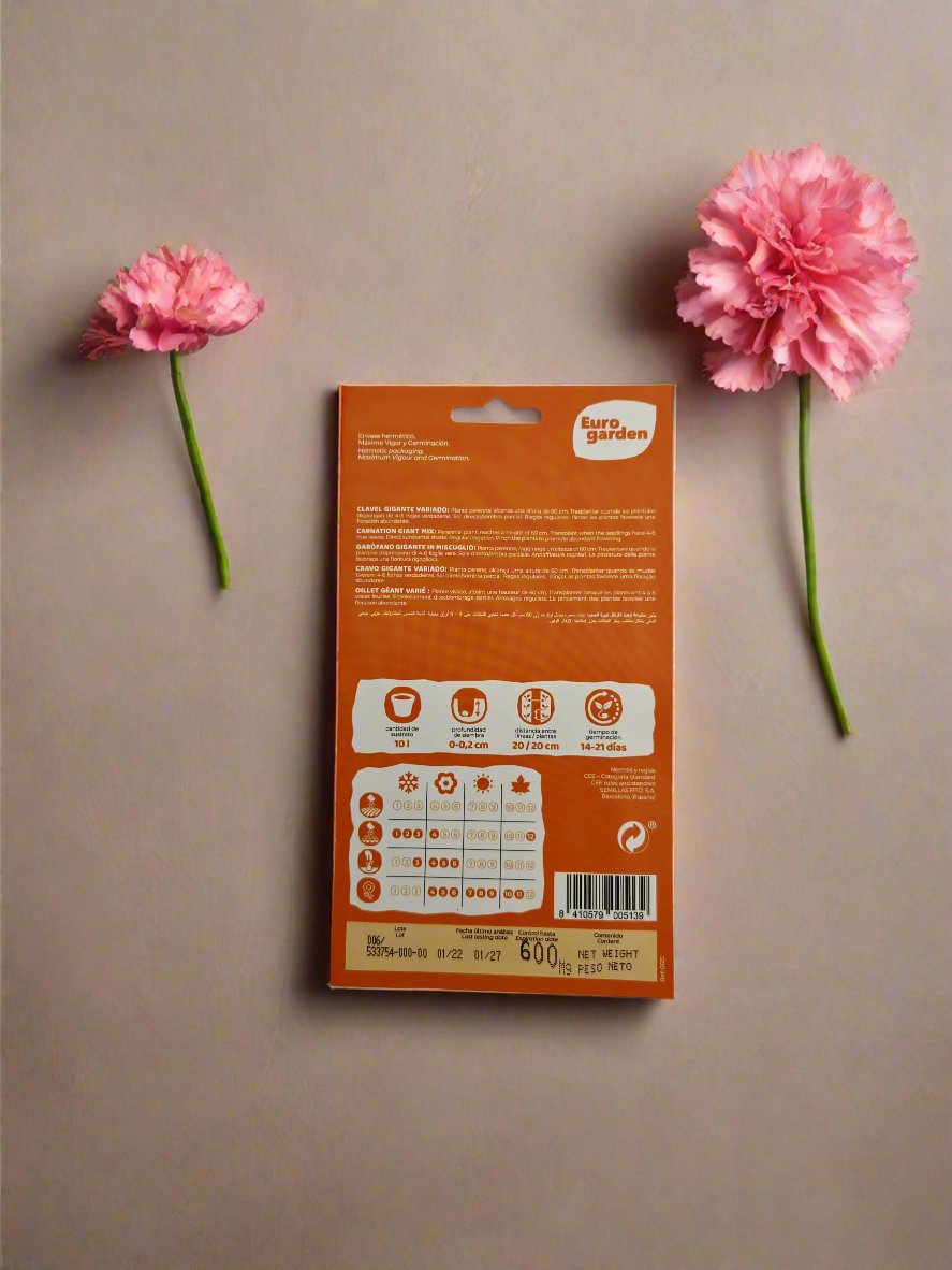 Euro Garden Carnation Giant Chabaud Mixed Flower Seeds – Grow Vibrant Blooms with Chabaud Giant Seeds
