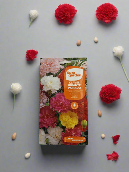Euro Garden Carnation Giant Chabaud Mixed Flower Seeds – Grow Vibrant Blooms with Chabaud Giant Seeds