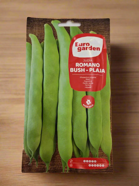 Eurogarden Romano Bean Seeds - High-Yield Heirloom Italian Bush Beans for Easy Home Gardening