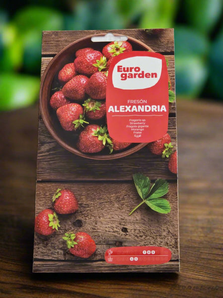 Fragaria sp.seeds by Euro garden