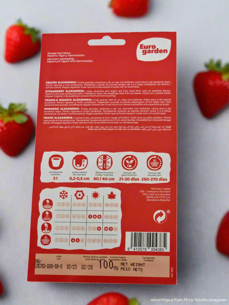 Fragaria sp.seeds by Euro garden at  Deevan’s Nobel House Decor and Gardening Seeds with Services