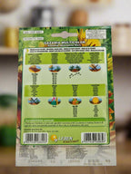 GAZANIA seeds by LEBEN at  Deevan’s Nobel House Decor and Gardening Seeds with Services
