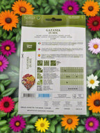 Gazania in Mix seeds by Hortus at  Deevan’s Nobel House Decor and Gardening Seeds with Services