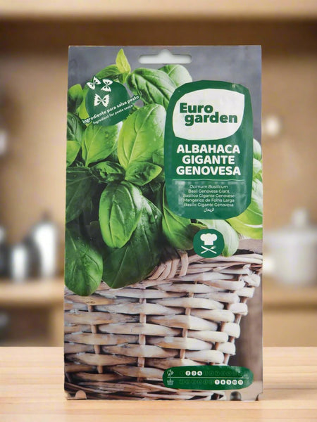 Giant Basil Seeds - Premium Sweet Genovese Basil by Euro Garden & RDR Seeds | Ocimum Basilicum for Indoor & Outdoor Gardening