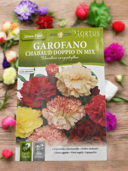 Hortus Carnation Mix Seeds – Premium Quality Sementi for Vibrant Mixed Blooms