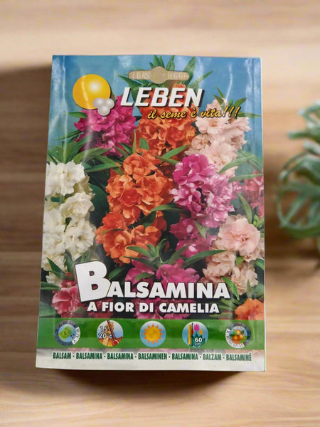 Leben Balsam Seeds Mix - Easy to Grow & Maintain | Mixed Colors Balsam Seeds for Containers & Gardens