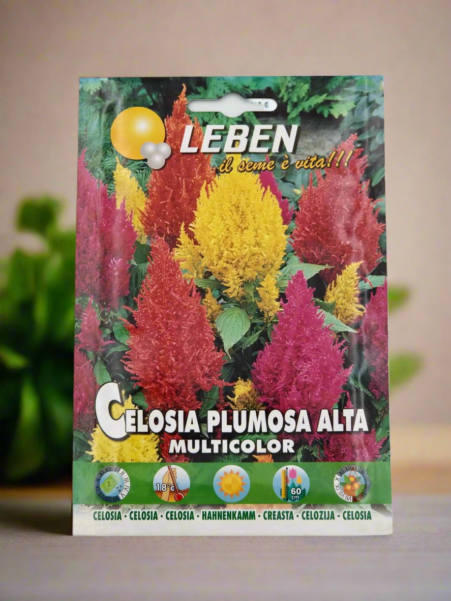 Multicolor Premium CELOSIA Seeds by Leben at  Deevan’s Nobel House Decor and Gardening Seeds with Services