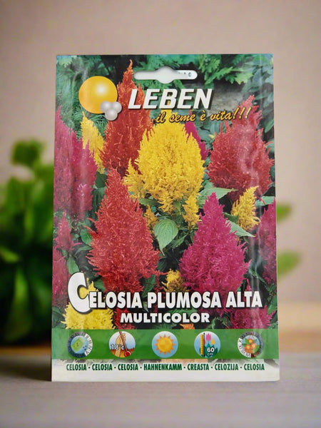Multicolor Premium CELOSIA Seeds by Leben