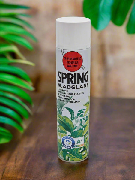 Spring Bladglans Original Leaf Shine Spray