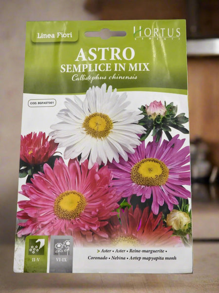 Premium Aster Seeds Mix - Astro Nano da Bordura Gigante by Hortus Sementi | High-Quality Garden Flower Seeds for Borders