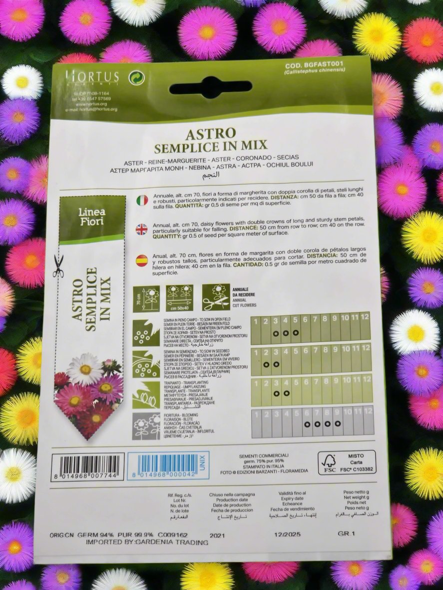 Premium Aster Seeds Mix - Astro Nano da Bordura Gigante by Hortus Sementi | High-Quality Garden Flower Seeds for Borders in Deevan’s Nobel House Decor and Gardening Seeds with Services