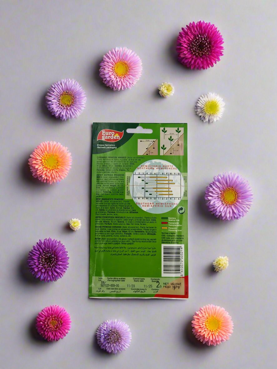 Premium Aster Seeds Mix - Euro Garden Aster Super Princess & Ostrich Princess by Hortus Sementi | Astro Nano da Bordura