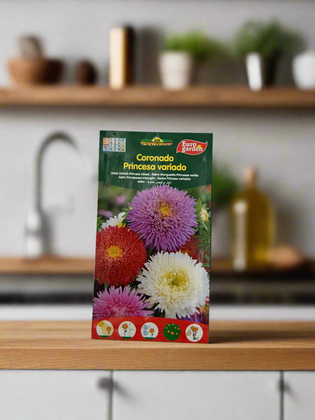 Premium Aster Seeds Mix - Euro Garden Aster Super Princess & Ostrich Princess by Hortus Sementi | Astro Nano da Bordura