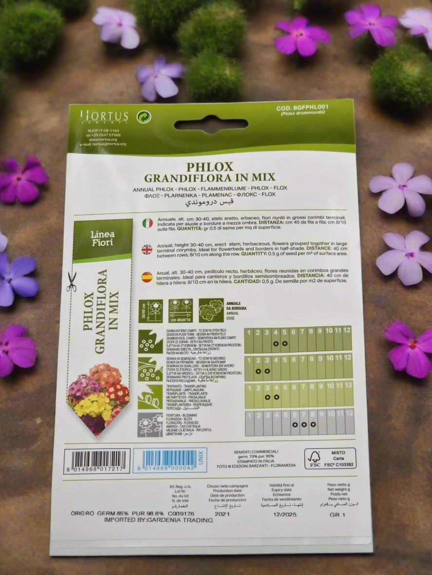 Annual phlox in Mix seeds by Hortus