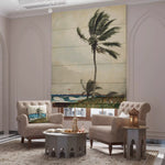 Deewan Roman Shades